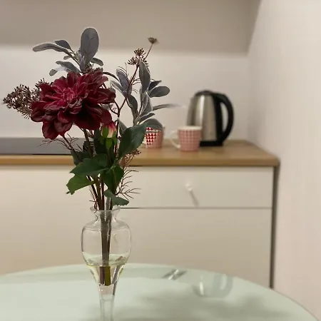 Burgos Apartman *
